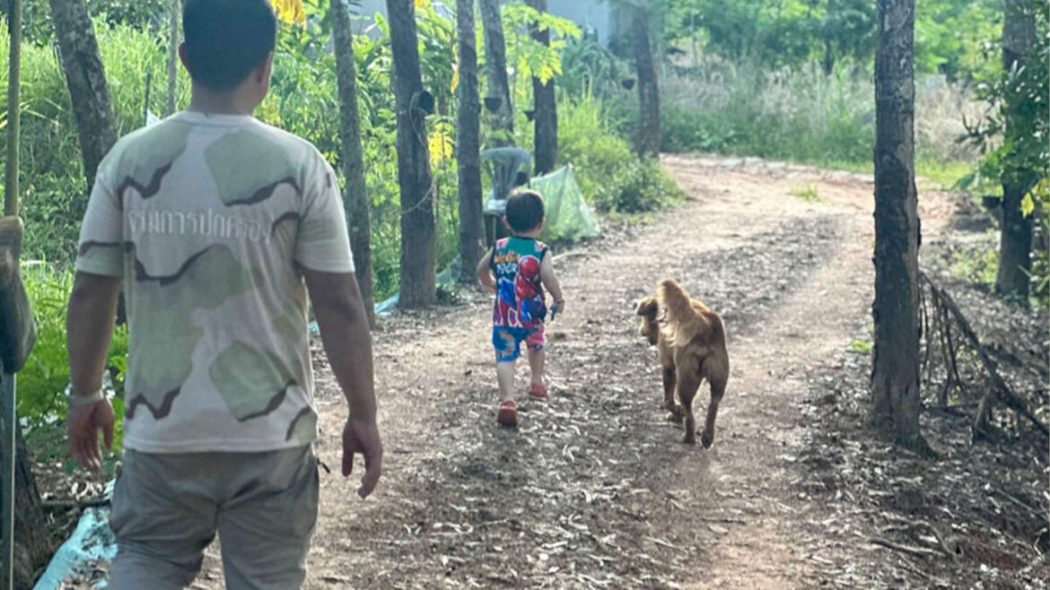 Dvojica psov ochraňovala stratené deti